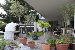 Brick oven in the garden