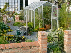 Small cottage garden with wall and greenhouse