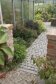 Herb bed at the greenhouse in the cottage garden