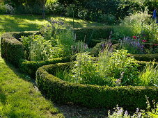 Small herb and flower beds bordered with buxus (boxwood)