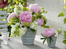 Early summer bouquet from Paeonia, Hydrangea qürcifolia