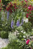 Rosa 'Flammentanz' (climbing roses), Delphinium (delphinium)