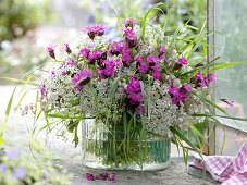 Wiesenstrauß : Aegopodium podagraria (Giersch), Dianthus carthusianerum