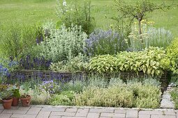 Herb bed with willow border