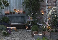 Romantische Abend-Terrasse mit Rosa (Rosen), Rosmarin (Rosmarinus)