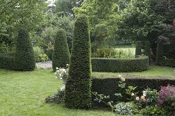 Formaler Garten mit geschnittenen Taxus baccata (Eiben)