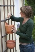 Planting wall hanging pots made of terracotta (1/4)