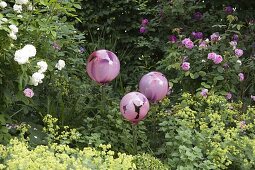 Glass beads between Rose and alchemilla