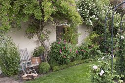 Garage wall overgrown with roses