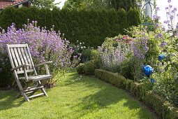 Hölzernern Gartenstuhl auf dem Rasen vor Hesperis matronalis