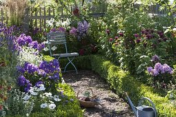 Farm garden with flowering perennials and summer flowers