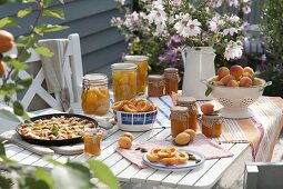 Process freshly harvested apricots