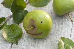 Grüner Apfel (Malus) mit Gesicht