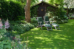 Loungers in the shade under a large tree, garden house, beds with shade perennials