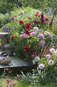 Summer bed with Dahlia, Gladiolus, Spartina