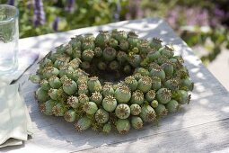 Wreath made from Papaver somniferum (opium poppy) seed pods
