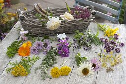 Ingredients for medicinal and tea herb bouquet spread out