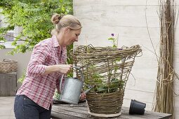 Weidenkorb für Kletterpflanzen selber machen (16/17)