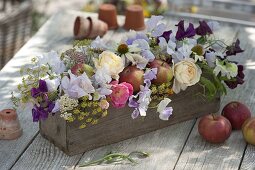 Scented arrangement with apples (Malus), fennel (Foeniculum), Lathyrus