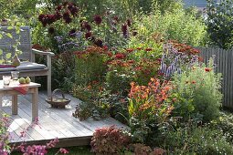 Red bed on the wooden deck with dahlias and perennials