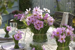 Cosmos grasses table decoration