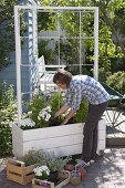 Mobile privacy screen with climbing snapdragon and petunias