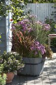 Holzkübel mit Aster (Herbstaster), Miscanthus 'Morning Light' (Chinaschilf)