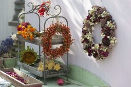 Wreath of pink (rose hips) hung on a shelf