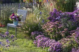 Autumn bed with Aster dumosus, Sedum telephium 'Herbstfreude'