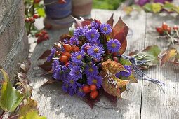 Kleiner Strauß aus Aster (Herbstastern), Rosa (Hagebutten) und Blättern