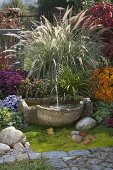 Herbstbeet mit Brunnen: Pennisetum 'Sky Rocket' (Federborstengras)