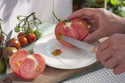 Harvest and storage of tomato seeds