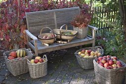 Thanksgiving terrace with filled baskets