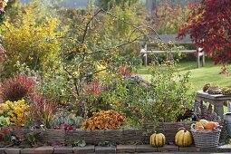 Herbstliches Terrassenbeet mit Einfasssungen aus Weidengeflecht