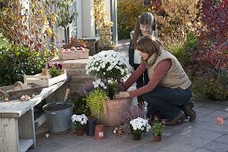 Woman planting terracotta pots with white chrysanthemum stems