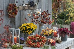 Herbstlicher Terrassentisch mit Chrysanthemum (Herbstchrysanthemen)