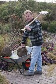 Planting ballooning shrubs in autumn