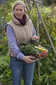 Frau mit frisch geerntetem Gemüse im Drahtkorb