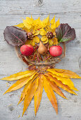 Laying pictures of leaves and fruits