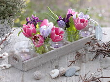 Kleine Sträuße aus Tulipa (Tulpen), Crocus (Krokussen) und Iris reticulata