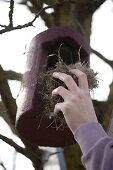 Woman cleaning nest box in spring