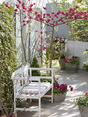 Spring terrace with flowering ornamental peach