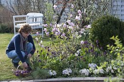 Spring bed with magnolia