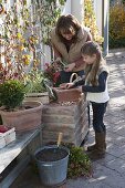 Mutter und Tochter pflanzen Frühlingskasten im Herbst