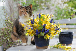 Blau-gelber Frühlingsstrauß mit Forsythia (Goldglöckchen)