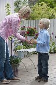 Boy gives his mother a pot of pink (roses)