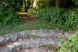 Noun: small natural stone stairs leading to the shade garden under large trees