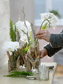 Modern arrangements in glass containers with driftwood as a plugging aid