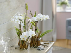 Modern arrangements in glass containers with driftwood as plug-in aid