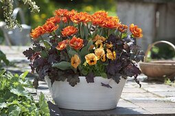 Tulipa 'Orange Princess' (tulips), Heuchera 'Amethyst Myst'.